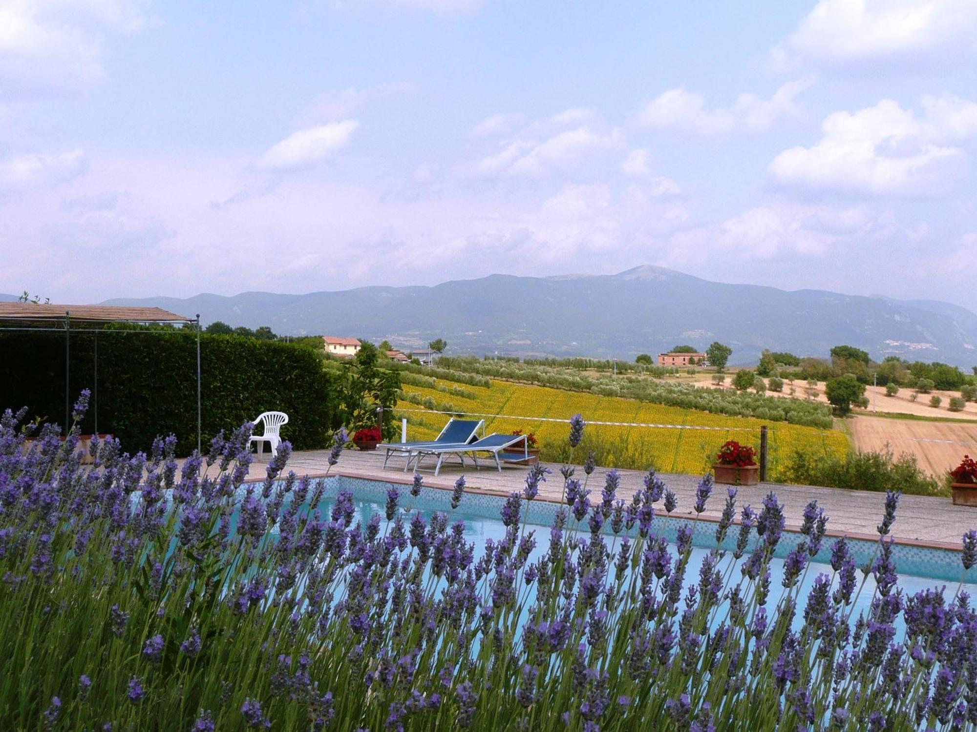 Agriturismo San Cristoforo Amelia Exterior foto
